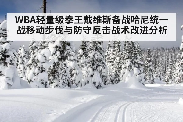 WBA轻量级拳王戴维斯备战哈尼统一战移动步伐与防守反击战术改进分析