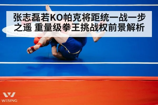 张志磊若KO帕克将距统一战一步之遥 重量级拳王挑战权前景解析